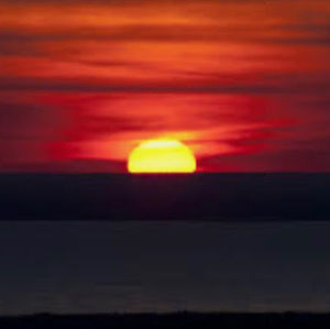 Meet your Posher, Ellie